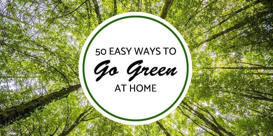 50 Simple Ways to Live a More Eco-Friendly Sustainable Lifestyle