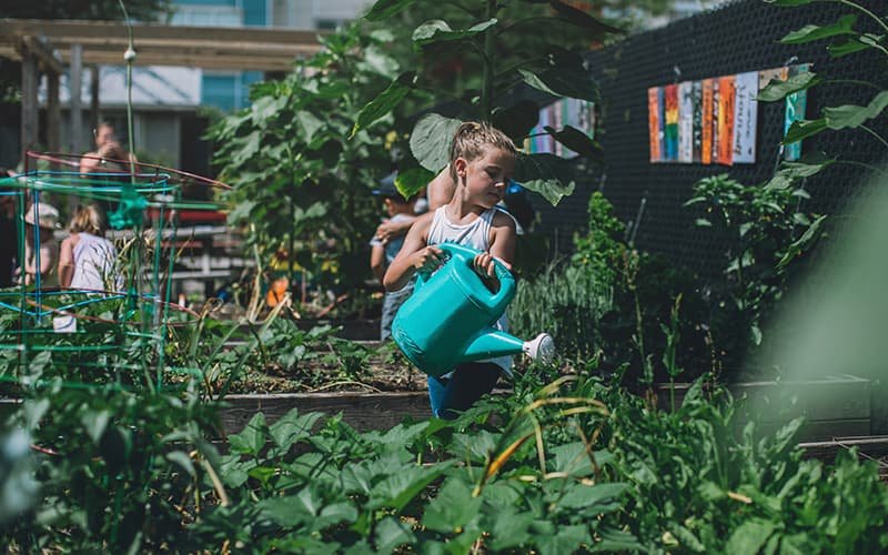 Go Green: 10 Tips for a More Sustainable Lifestyle